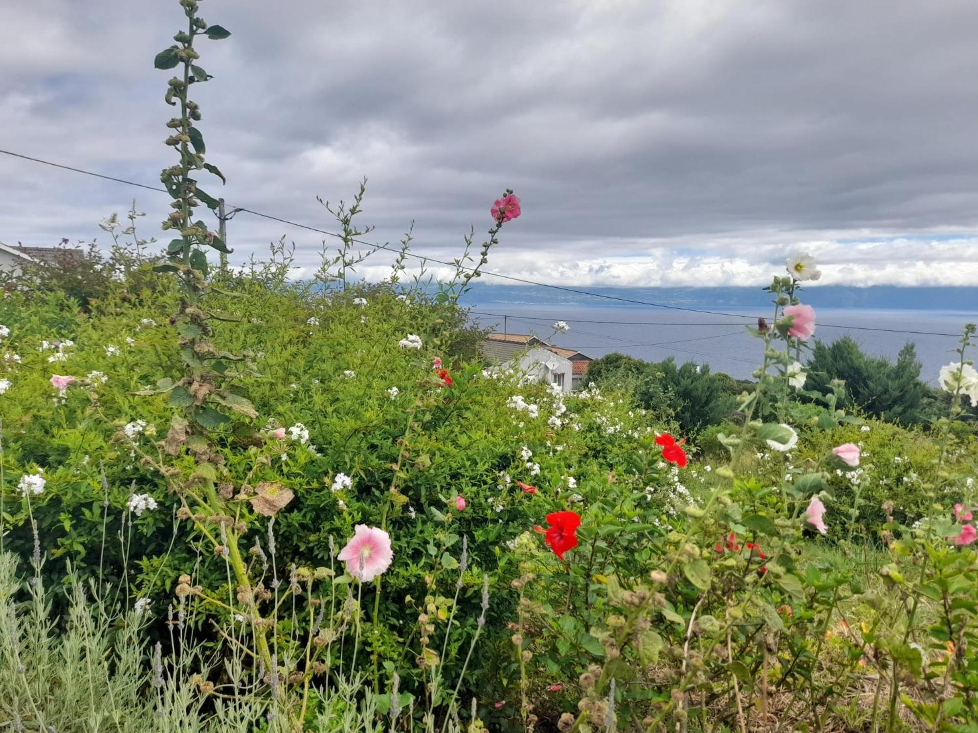 Homestay Lost In Thyme